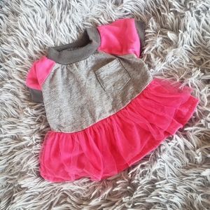 PET | XS Female Dog Colorblock Dress!